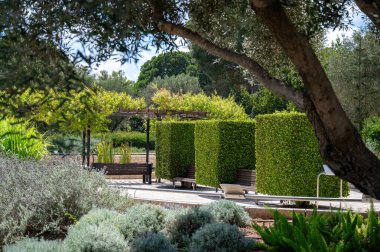 Park Ramat Hanadiv, Baron Edmond de Rothschild Anıt Bahçeleri, Zichron Yaakov, İsrail. Yüksek kalite fotoğraf