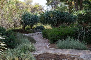 Park Ramat Hanadiv, Baron Edmond de Rothschild Anıt Bahçeleri, Zichron Yaakov, İsrail. Yüksek kalite fotoğraf