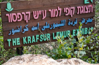 Kudüs Hayvanat Bahçesi 'ndeki lemur maymunlarını tarif eden levhalar. Yüksek kalite fotoğraf