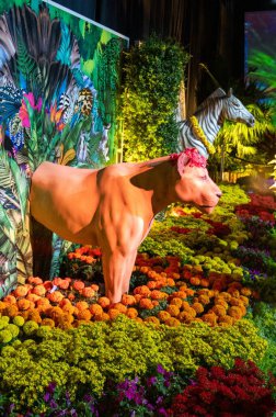 İsrail 'deki Tel Aviv' de bir çiçek sergisi. Yüksek kalite fotoğraf