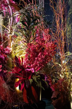 Siyah arka planda güzel bir çiçek aranjmanı. Yüksek kalite fotoğraf