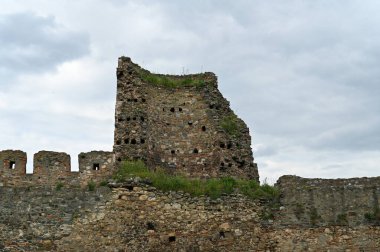 Smederevo Kalesi, Tuna Nehri kıyısında yer alan önemli bir tarihi anıttır. 15. yüzyılın başında inşa edilmiş ve Sırp Despotizminin başkenti olarak hizmet vermiştir.