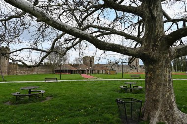 Smederevo Kalesi, Tuna Nehri kıyısında yer alan önemli bir tarihi anıttır. 15. yüzyılın başında inşa edilmiş ve Sırp Despotizminin başkenti olarak hizmet vermiştir.