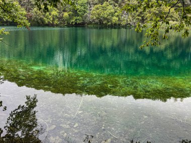 Plitvice Lakes, Hırvatistan 'ın orta kesiminde bulunan bir ulusal parktır. Yüksek kalite fotoğraf