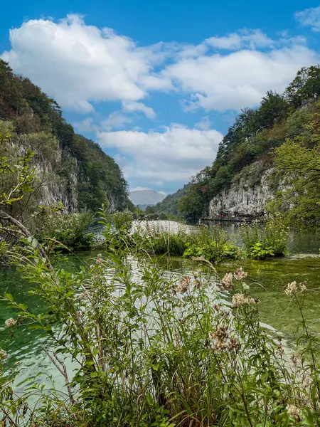 Plitvice Lakes, Hırvatistan 'ın orta kesiminde bulunan bir ulusal parktır. Yüksek kalite fotoğraf