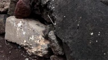 İsrail 'deki Akıntı ve gölet Meshushim yakınlarındaki dağlık bölgenin güzel manzarası. Golan' da güzel bir yer. Yüksek kalite 4k görüntü