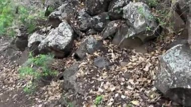 İsrail 'deki Akıntı ve gölet Meshushim yakınlarındaki dağlık bölgenin güzel manzarası. Golan' da güzel bir yer. Yüksek kalite 4k görüntü