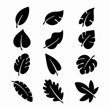 Doğal yaprak siluetleri. Siyah ve Beyaz Vektör İllüstrasyonu