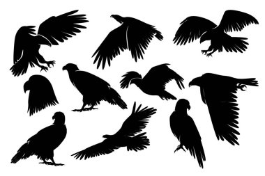 Kartal silueti. Siyah ve Beyaz Vektör İllüstrasyonu