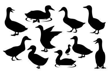 Ördek silueti. Siyah ve Beyaz Vektör İllüstrasyonu