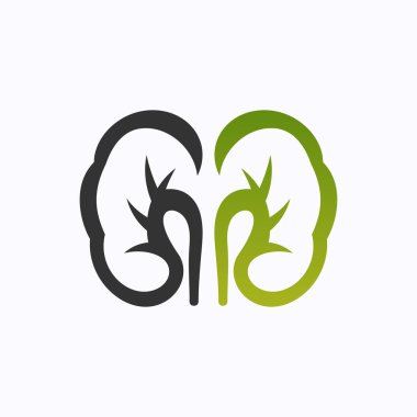 Böbrek logosu vektörü. Üroloji logo tasarım şablonu. Simge hisse vektörü izole edildi