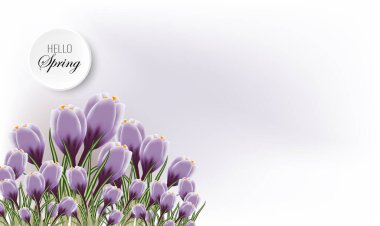 Merhaba Spring. Güzel bahar kardelenleri. Bir buket timsah desenli bahar afişi, merhaba bahar, soyut bir arka planda narin tomurcuklar.