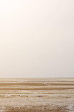 Low Tide 'da Yürüyen Küçük İnsanlarla Kıyı Çamurlu Arazi
