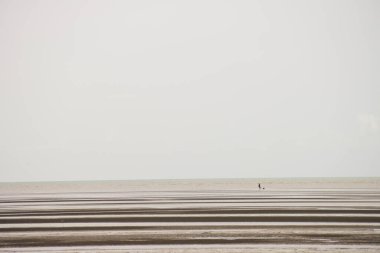 Sakin Gökyüzü Altındaki Geniş Gelgit Düzlükleri 'ndeki Tek Kişilik