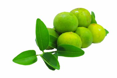 Kireç yaprakları ve meyveleri beyaz arka planda kırpma yolu ile izole edilmiş. Yan görünüm.