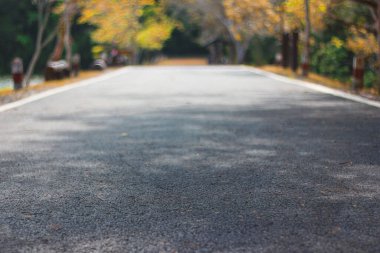 Yolun asfalt yüzeyi önünde büyük bir ormana giden bir patika var..