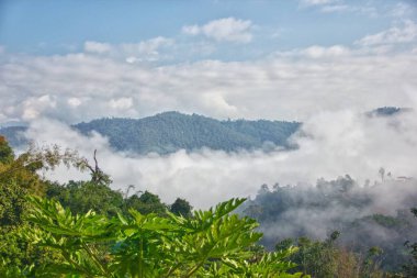 Tayland 'da Doğanın Ortasında Sis Sükunetinde Dağ
