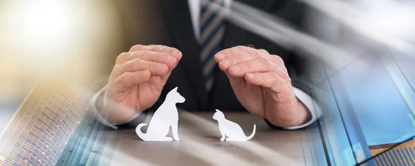 Insurer Protecting Pets His Hands Multiple Exposure — Stock Photo, Image
