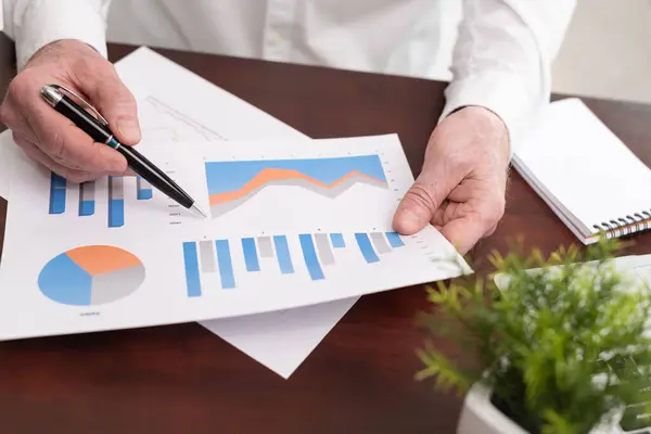 Businessman Analysing Marketing Graphs Office — Stock Photo, Image