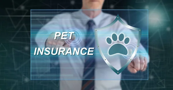 Man touching a pet insurance concept on a touch screen with his fingers