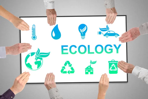 Ecologie Concept Een Whiteboard Gehouden Door Handen — Stockfoto