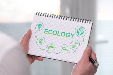 Hand holding a notepad with ecology concept