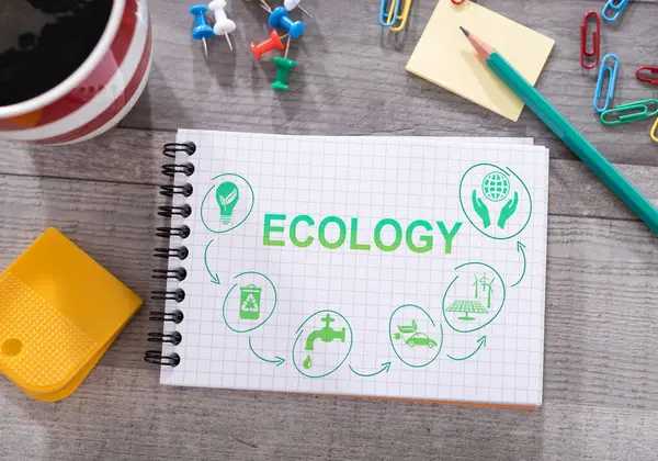 Masaya bırakılmış bir not defterine ekoloji konsepti