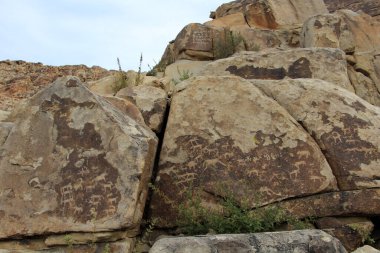 Boastar Hayrhan kaya resimleri kırsal Moğolistan 'da yer almaktadır. Kaya resimleri ve yazıtlar Bronz Çağı 'nda yapılmış..