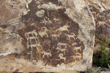 Boastar Hayrhan kaya resimleri kırsal Moğolistan 'da yer almaktadır. Kaya resimleri ve yazıtlar Bronz Çağı 'nda yapılmış..