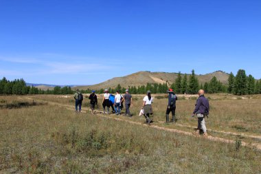 Gençler Moğolistan 'ın ormanlık bir bölgesinde yürüyüş yaparlar. Bir grup insan çam ağaçlarıyla kaplı bir bölgeden geçiyor. Arhangay, Moğolistan.
