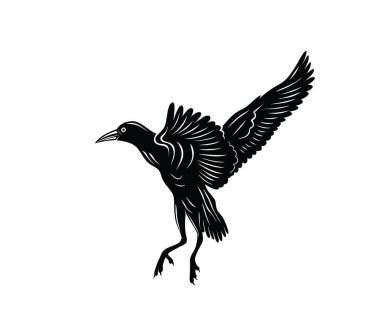 Heron Bird Silhouette, art vector design