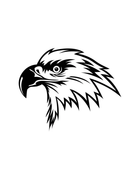Logo Cara Águila Diseño Vectores Arte — Archivo Imágenes Vectoriales