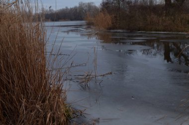 Sonbahar, soğuk, nehir şimdiden ilk buz kütleleri, buz kütleleri, nehir kıyısı ve sazlıklar ile kaplanmaya başladı..