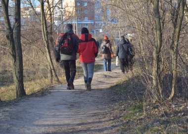 A walk in the autumn cold forest. The photo shows a group of people who are returning from a walk in the forest