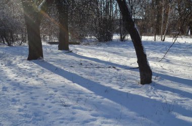 Kış, güneş, antik park.