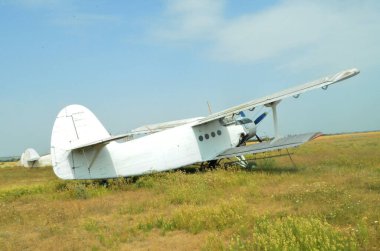  An-2 uçağı yazın bir tarlada duruyor..