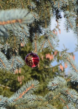 Mavi gökyüzü, mavi ladin ve güzel bir Noel ağacı süsü. Yeni Yıl.