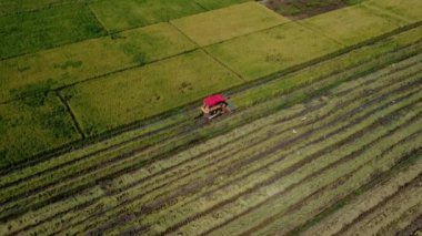 Pirinç tarlasıyla birleşik hasat makinesinin hava görüntüsü. Tayland 'da pirinç hasadı için biçerdöver. Drone hasat mevsiminden sonra büyük bir çeltik tarlasında pirinç saman işçilerinin üzerinde uçar..