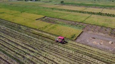 Pirinç tarlasıyla birleşik hasat makinesinin hava görüntüsü. Tayland 'da pirinç hasadı için biçerdöver. Drone hasat mevsiminden sonra büyük bir çeltik tarlasında pirinç saman işçilerinin üzerinde uçar..