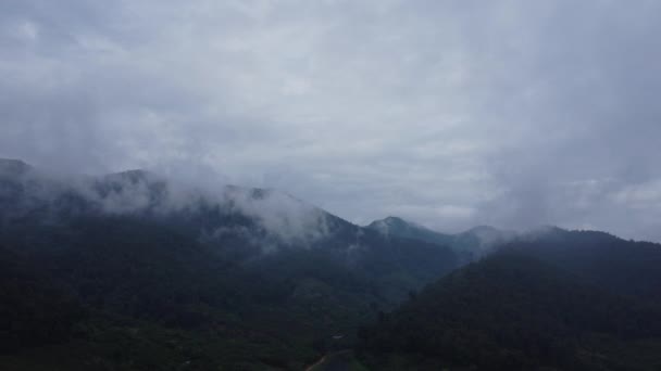 午前中に霧と熱帯林の時間経過 冬の間 タイの霧の多い高原で農村を飛行する無人機からの空中ビュー 自然景観背景 — ストック動画