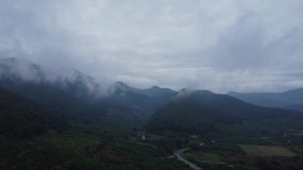 午前中に霧が高原の村の空中ビュー 冬のタイの山岳地帯を背景にした村のドローンからのトップビュー 自然景観背景 — ストック動画