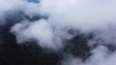 Sabahları sisli tropikal ormanlarda zaman kaybı. Tayland 'da kış boyunca sisli bir platoda kırsal bir köyde uçan bir dronun hava görüntüsü. Doğal manzara arka planı.