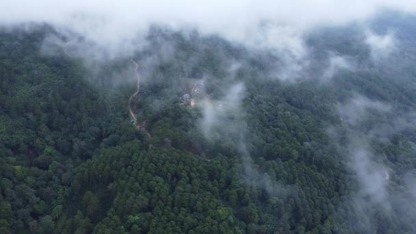 热带森林的时间流逝 晨雾弥漫 在泰国 冬季一架无人驾驶飞机在一个多雾的高原上飞越一个乡村上空的空中景观 自然景观背景 — 图库视频影像