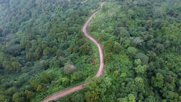 从空中俯瞰山路 阳光灿烂的森林 在泰国美丽的茂密的绿林中 山顶上的一条小山上的公路 自然景观背景 — 图库视频影像