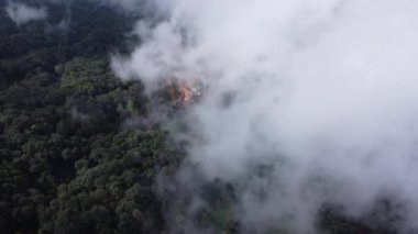 Sabahları sisli tropikal ormanlarda zaman kaybı. Tayland 'da kış boyunca sisli bir platoda kırsal bir köyde uçan bir dronun hava görüntüsü. Doğal manzara arka planı.