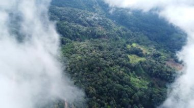 Sabahları sisli tropikal ormanın havadan görünüşü. Tayland 'daki güzel tropikal dağ ormanlarının insansız hava aracı manzarası. Doğal manzara arka planı.