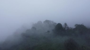 Sabahları sisli tropikal ormanın havadan görünüşü. Tayland 'daki güzel tropikal dağ ormanlarının insansız hava aracı manzarası. Doğal manzara arka planı.