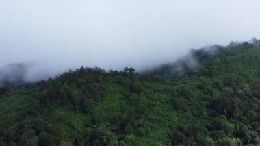 Sabahları sisli tropikal ormanın havadan görünüşü. Tayland 'daki güzel tropikal dağ ormanlarının insansız hava aracı manzarası. Doğal manzara arka planı.