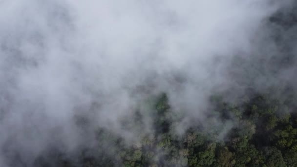 Αεροφωτογραφία Τροπικού Δάσους Ομίχλη Πρωί Top View Drone Beautiful Mountain — Αρχείο Βίντεο