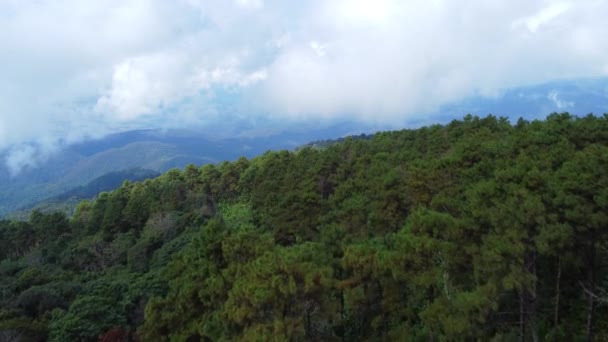 午前中に霧と熱帯林の空中ビュー 冬の間 タイ王国で美しい山熱帯林の無人機からのトップビュー 自然景観背景 — ストック動画